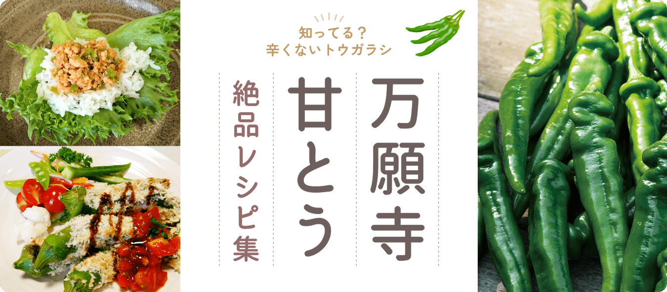 万願寺甘とう絶品レシピ集